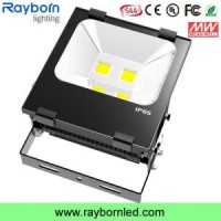 Wholesale Price High Lumen 100W Bridgelux COB Outdoor LED Floodlight