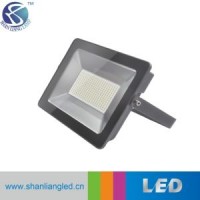 Made-in-China LED Lighting Outdoor LED Floodlight 10W/20W/30W/50W/100W