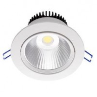 Recessed LED Down Light 3W - COB