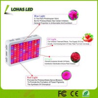 Full Spectrum High Power 300W 450W 600W 800W 900W 1000W 1200W Hydroponics LED Grow Light for Greenho