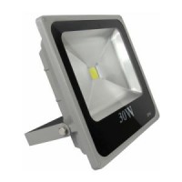 Good Price Hot Sell Epistar LED Flood Light 30W IP65 No Driver (2-Year Warranty (10W-$2.87 / 20W-$4.