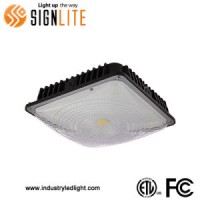 Good Quality 45W Canopy Lights for Petrol Station 100lm/W Warranty 5 Years