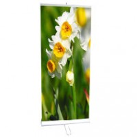 Display Stand Double Sides Banner Stand (DW-R-S-7 85CM)