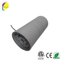 Purple 2*12W Round LED Light Outdoor LED Light