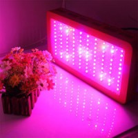 Decorative Plant Indoor Grow Lights  LED Plant Light (SLPT02)