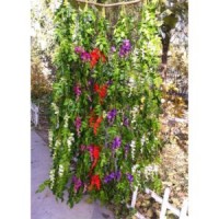 Plastic Vines Wisteria Bracketplant Decoration