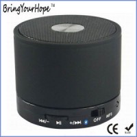 Stainless Steel Mini Wireless Bluetooth Speaker (XH-PS-602)