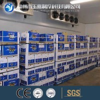 Cold Room for Vegetable/Fruit/Fish/Cold Storage Room