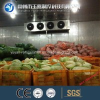 Cold Room for Meat and Beef