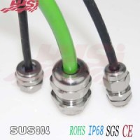 Professional Manufacturer Stainless Steel SUS 304 316 Metal Cable Gland Cable Connector