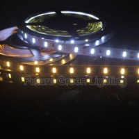 CE Approved Cool White and Warm White 5630 Flexible LED Strip with 1year Warranty