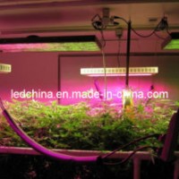 600W High Power LED Grow Lighting