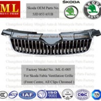 Car Grille for Skoda Fabia From 2007 (5JD853668B)