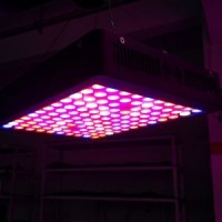 Metal Housing 1000 Watt HPS Grow Light LED