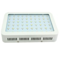 Hot Selling Double Chip 60 PCS LEDs Full Spectrum Plant Grow Lighting 300W LED Grow Light