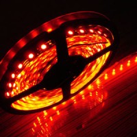 Best Price Waterproof Flexible LED Strip for Festival Decoration