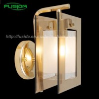 High Quality Classical Iron and Glass Wall Lamp/Wall Lighting (9110/1W)