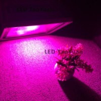 LED Plant Grow Lamp LED Lighting 100W