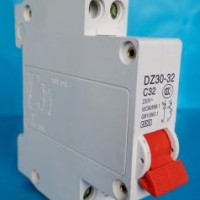 Professional Factory for Dz30-32 (DPN) Mini Circuit Breaker  Type of Electric Circuir Breakers