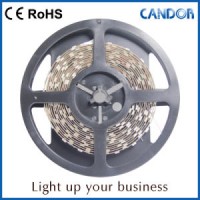 SMD 3528 Low Voltage LED Strips