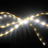 Flexible SMD 3528 Price White Color DC12V LED Strip