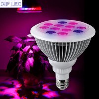 Small Grow LED 12W 24W E27 PAR38 LED Grow Lights