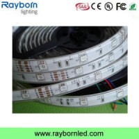 Holiday Decoration Flexible SMD5050 30LEDs/M 60LEDs/M LED Strip Light