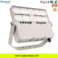 Outdoor LED Spot Light 100W Modular LED Flood Lights with Lens