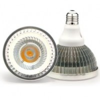 PAR 38 30W COB SMD E27 LED Lamp for Hotel