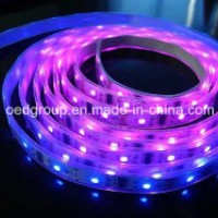 RGB SMD5630 IP65/68 60LEDs LED Flexible Stripe for Outdoor Decoration