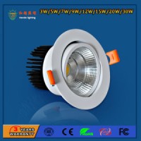 Full Range Aluminum 12W LED Spot Light for Amusement Park