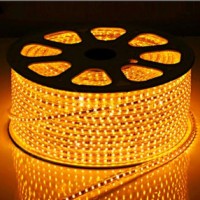 White Color 60LEDs SMD2835 220V IP65 LED Rope Light