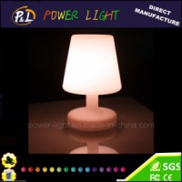 Decorative LED Table Lamp LED Night Light