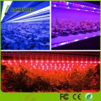 12W Plant Lamp Color Adjustable 3 Modes Red & Blue & Violet LED Grow Light Tube