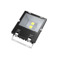 Meanwell Driver 100W LED Flood Light with 5 Year Warranty