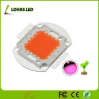 High Power Square Round COB LED Chip 3W 5W 7W 10W 20W 30W 50W 70W 100W 150W