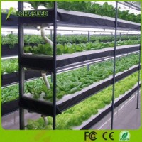 13.5W Plant Light for Greenhouse Gardening Vegetables Grow T8 Tubes for Indoor Hydroponic Plants