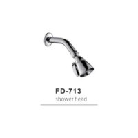 Wall Mounted Bathroom Shower Head