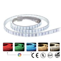 1800lm Per Meter 3year Warranty 120V/220V AC RGB LED Strip