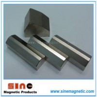 Special Permanent Sintered Neodymium Magnet