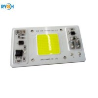 10W 20W 30W 50W AC220V AC110V High Quality Driverless COB LED Chip at Competitive Price