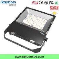 Outdoor Portable IP65 100W 250W Metal Hailde LED Flood Lamp Replacement