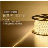 SMD2835 Waterproof LED Strip Light RGB/White/Warm White Flexible LED Color Changing Strips Light