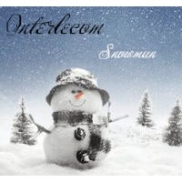 Acrylic Christmas Decoration LED Snowman for Light