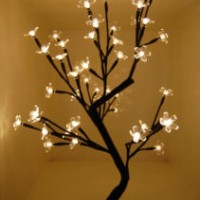 Holiday Decoratian Chandelier Light with Warm LED