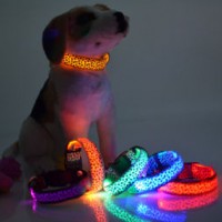 LED Flashing Dog Collar Adjustable Puppy Pet Collars