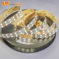 Non- Waterproof 50000 Hour Lifespan SMD5050 28.8W/M Flexible LED Strip Light