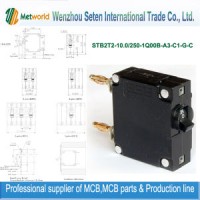 Micro Switch Circuit Breaker (STB2T2-10.0)