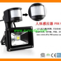 IP65 Solar Cell Security LED Flood Light