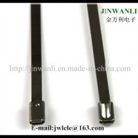 Epoxy Black Coated Stainless Steel Cable Tie